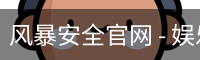 风暴安全官网